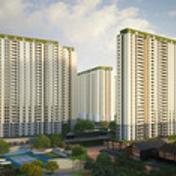 Assetzcodenamemicropolis's profile