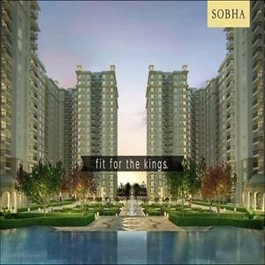 Sobhascarlet's profile