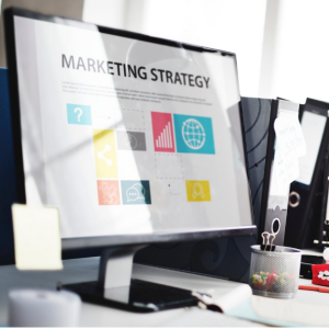 agencjazielonaG's profile