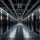 freehosting's profile
