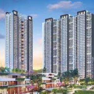 prestigefalconcit's profile