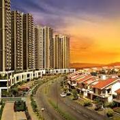 purvanorthern's profile