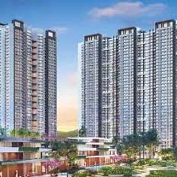 shobhaworldcity's profile