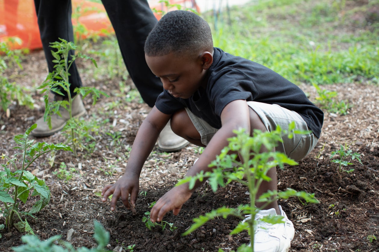 Children and Nature