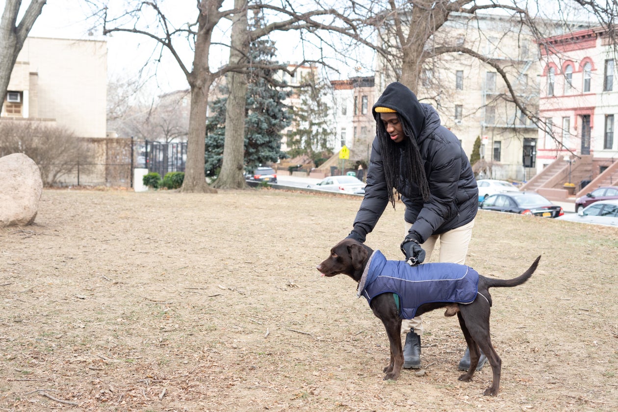 Man playing with dog