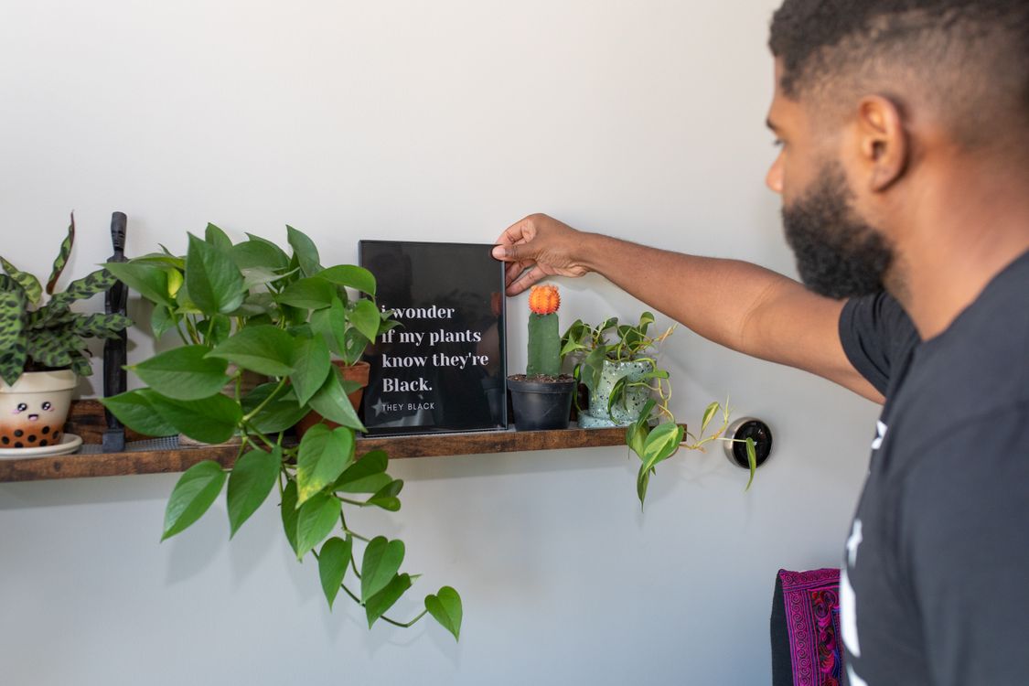 Plants