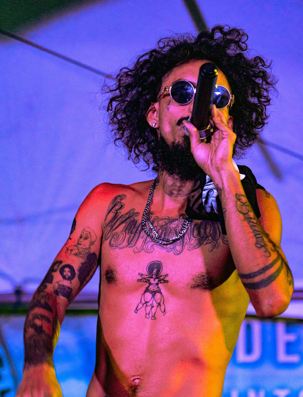 Live Concert with Artist on Microphone