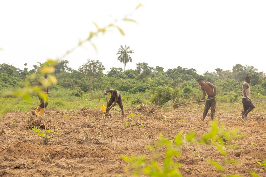 Farming