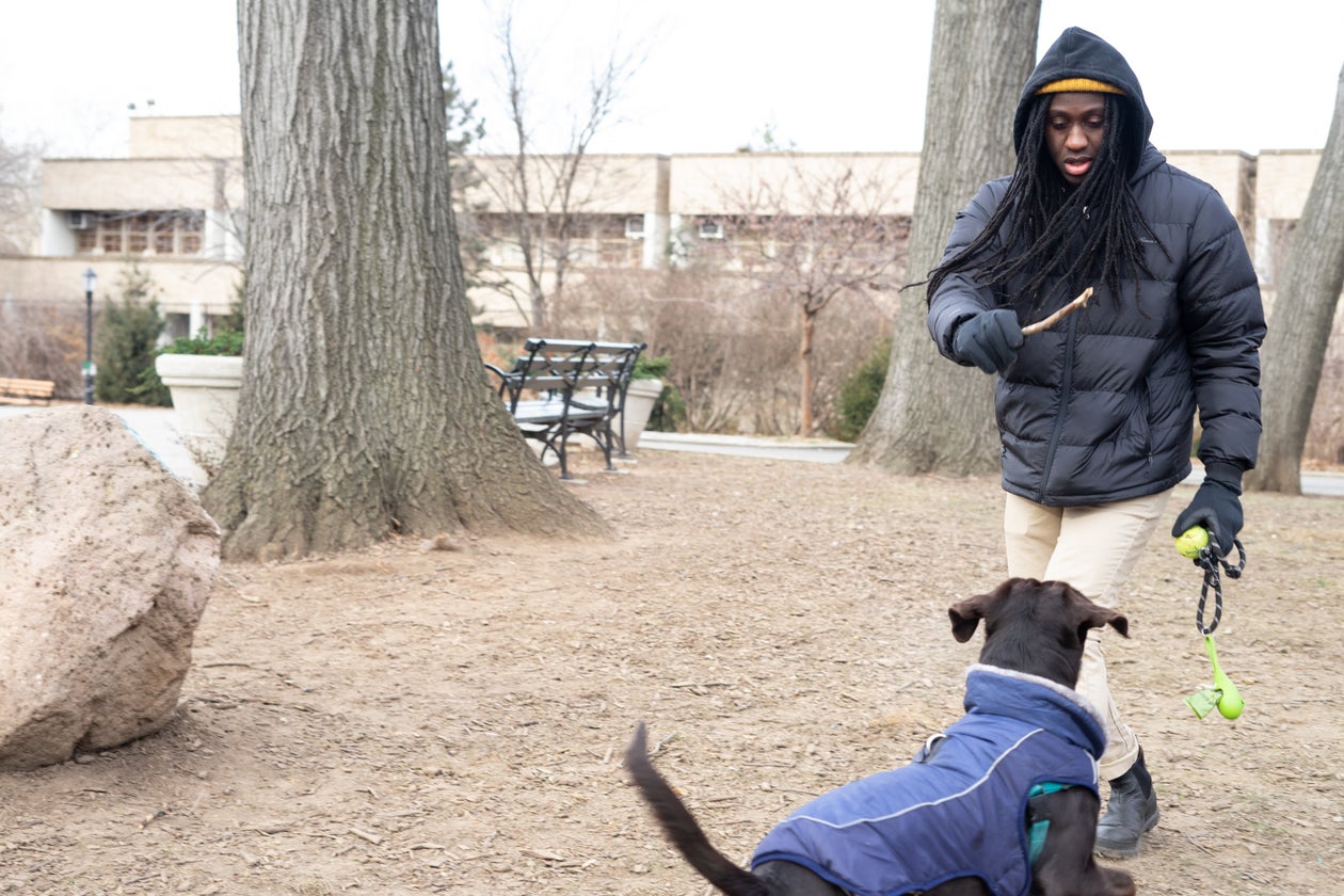 random image taken from Nappy