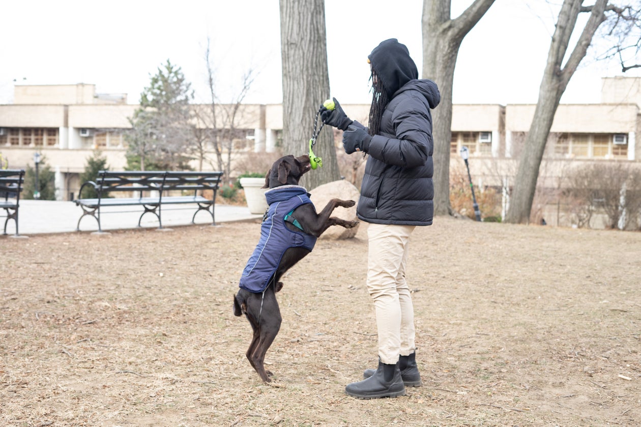 Man playing with dog