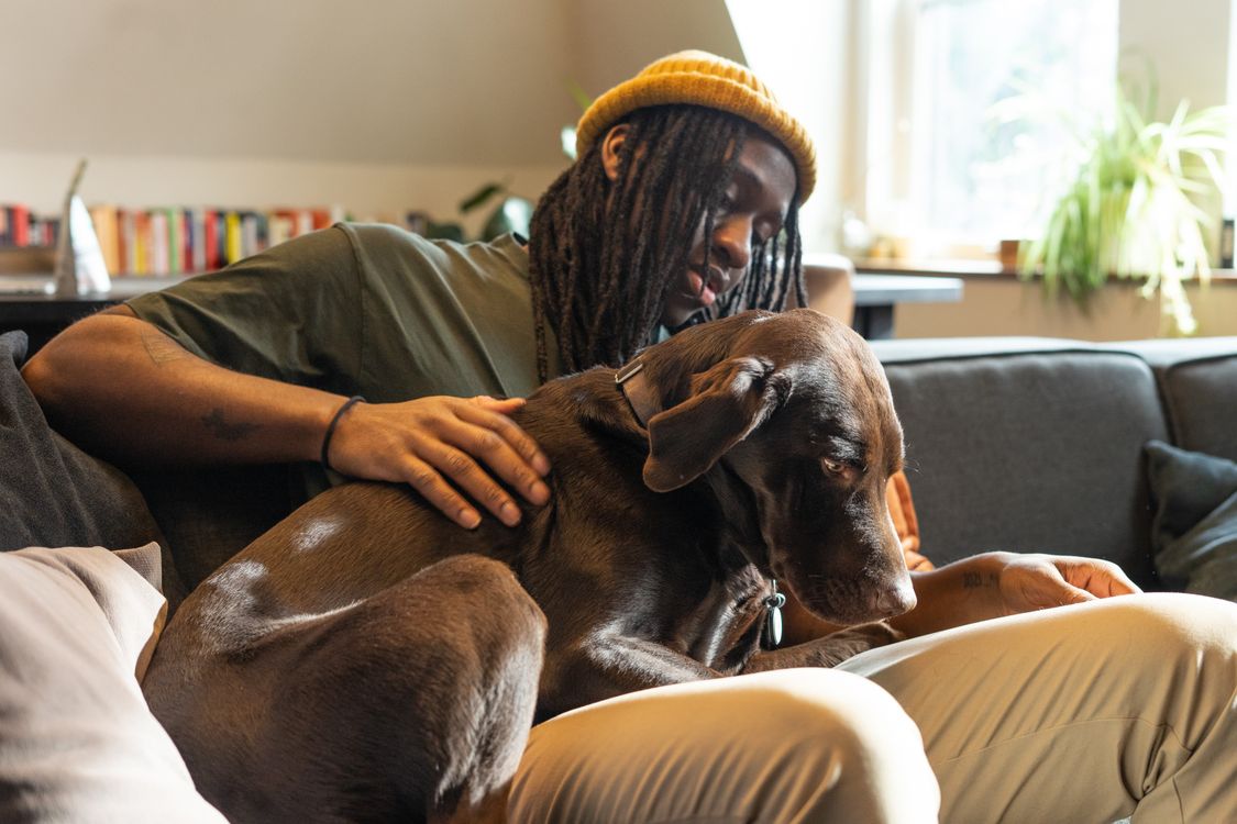 Man playing with dog