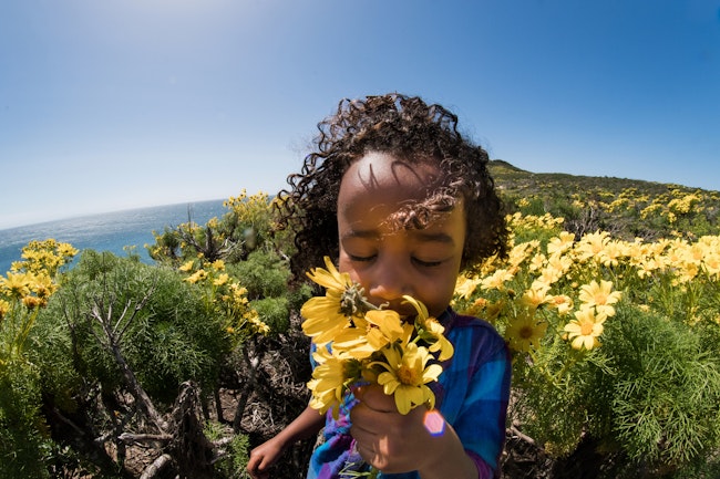 Girl smelling sunflowers