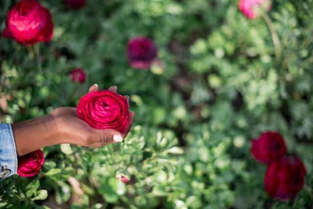 Black hand with rose