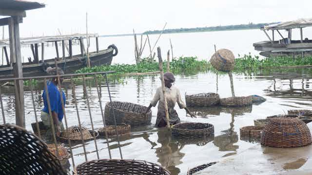 Fish Farming