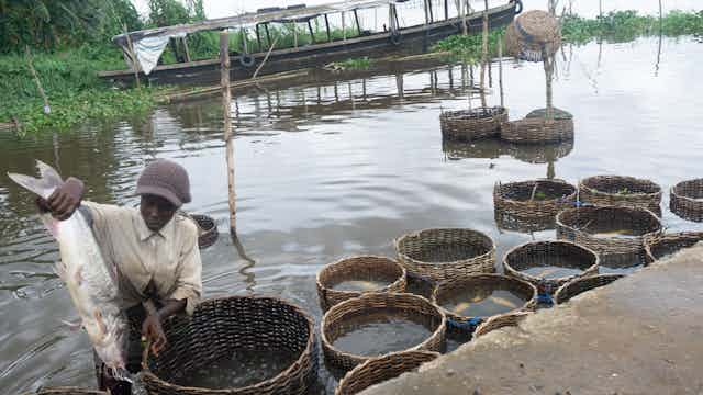 Fish Farming