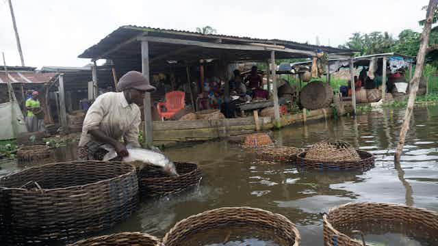 FISH FARM