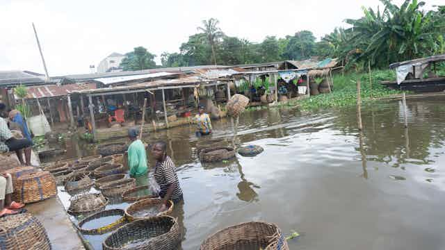 FISH FARM