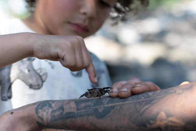 Children and Nature