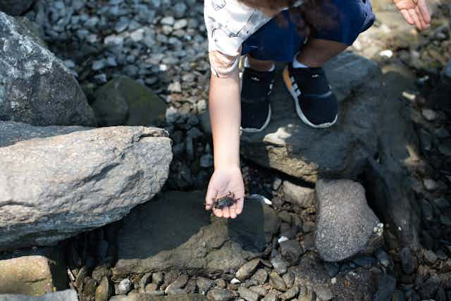 Children and Nature