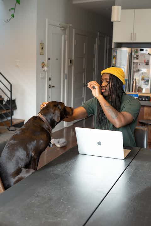 Man playing with dog