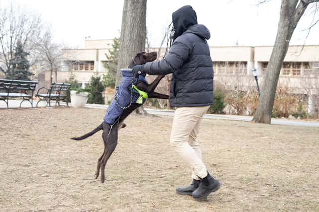 Man playing with dog