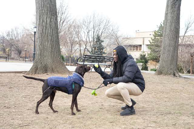 Man playing with dog