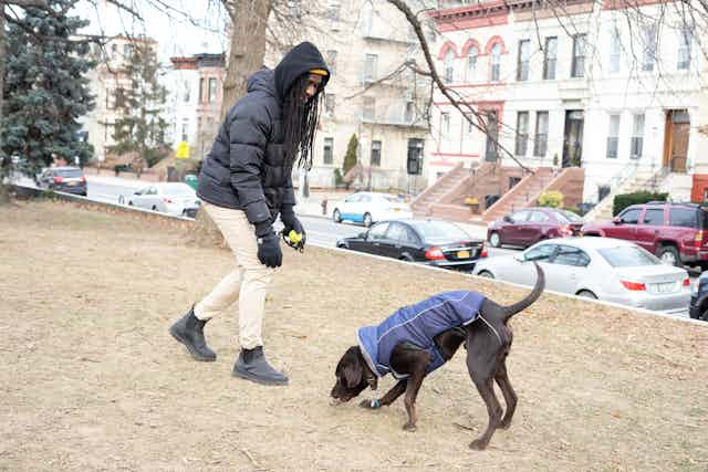 Man playing with dog