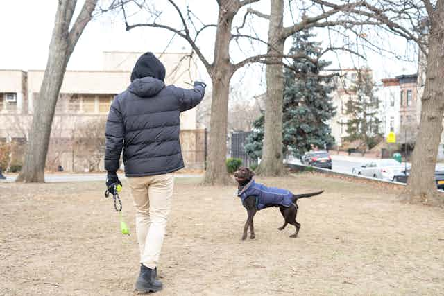 Man playing with dog