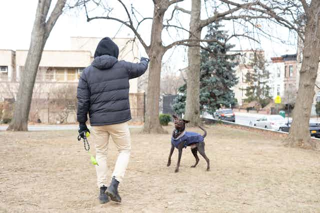 Man playing with dog