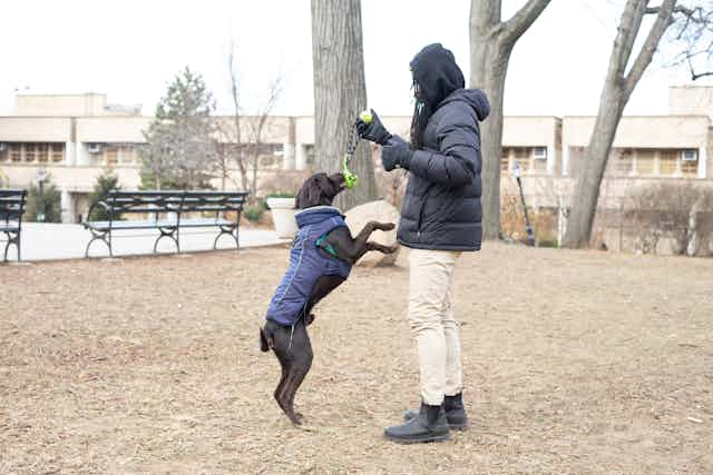 Man playing with dog