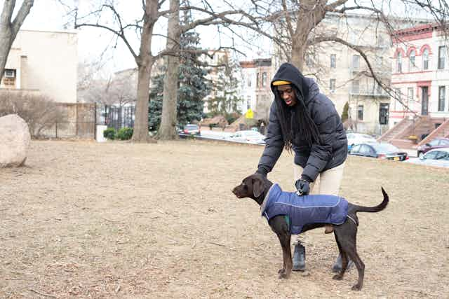 Man playing with dog